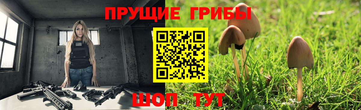 Псилоцибиновые грибы Psilocybe Подольск