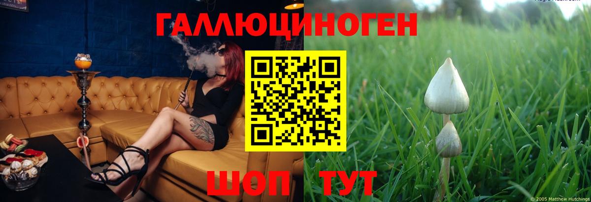 Подольск  Псилоцибиновые грибы GOLDEN TEACHER  Вход с VPN  наркота  Галлюциногенные грибы Psilocybine cubensis 